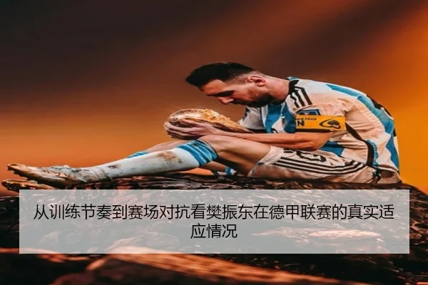 从训练节奏到赛场对抗看樊振东在德甲联赛的真实适应情况